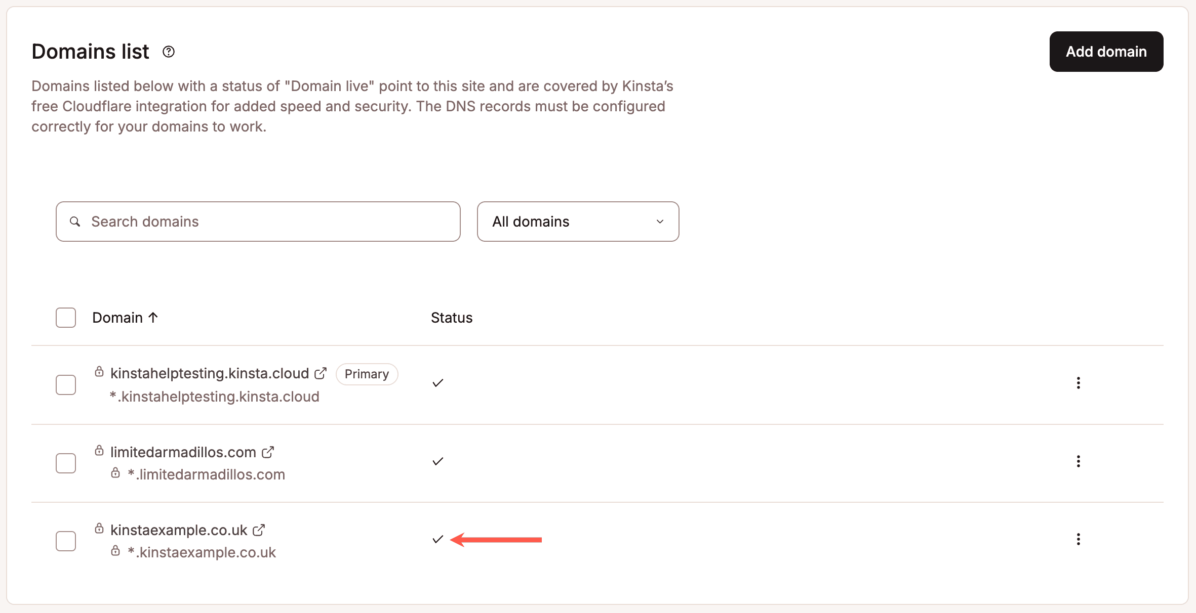 Uma marca de seleção ao lado do seu domínio no MyKinsta indica que ele está apontado corretamente.