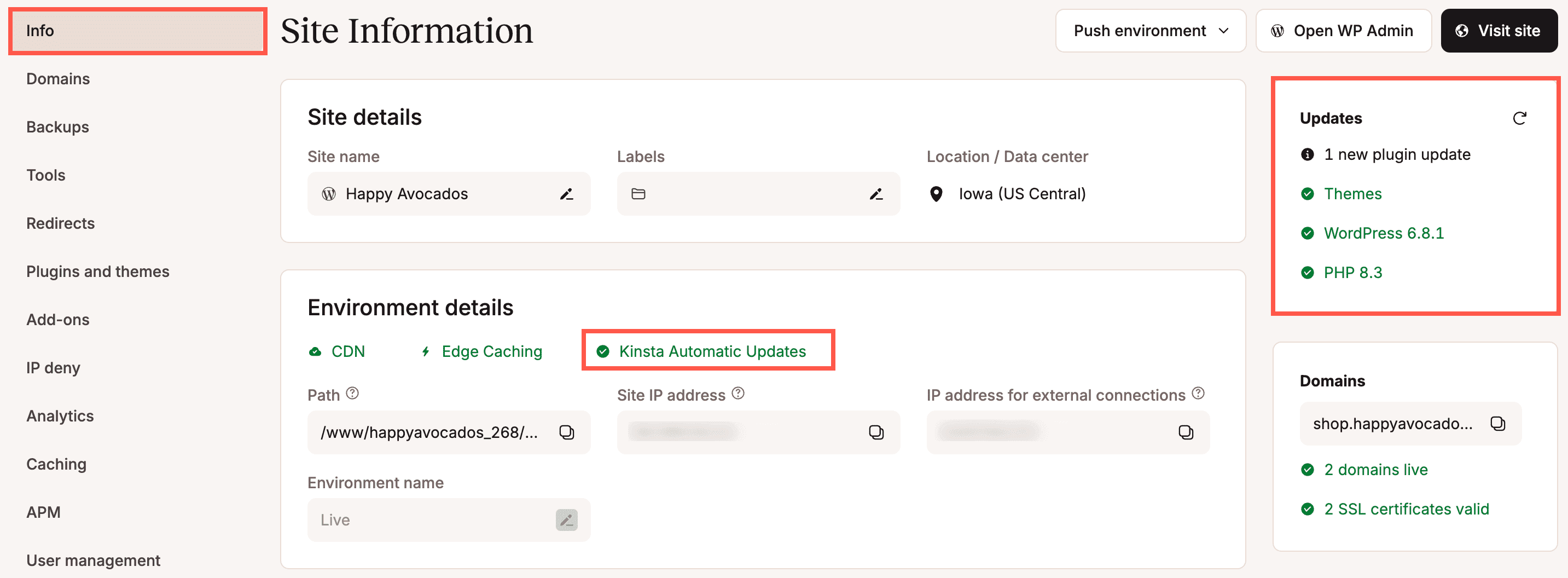 Site-infopagina met kwetsbaarheden en het aantal beschikbare updates voor plugins en thema's.