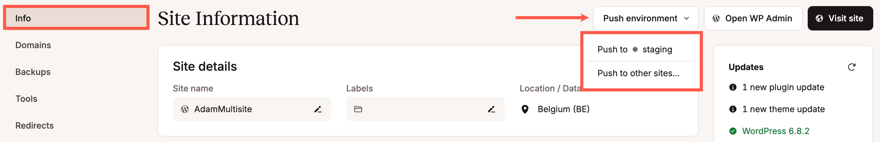 Eine Umgebung in MyKinsta pushen.