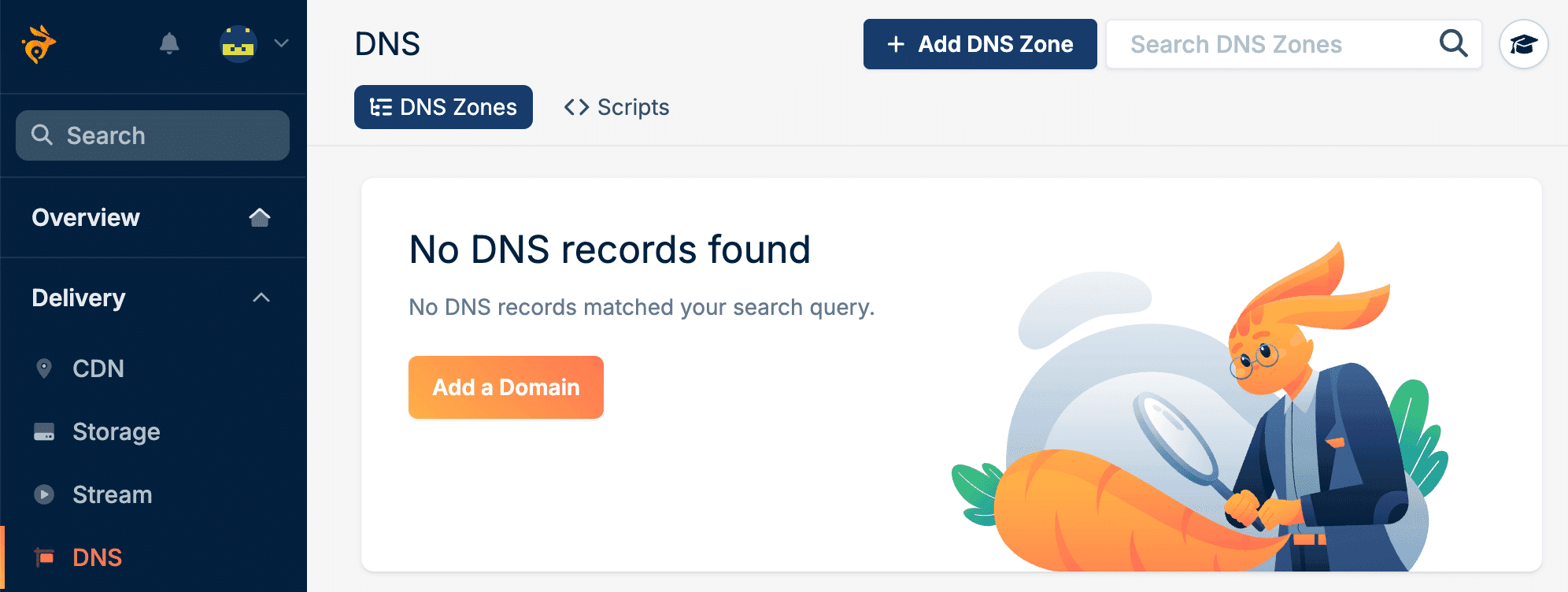 Füge eine Domain in Bunny hinzu
