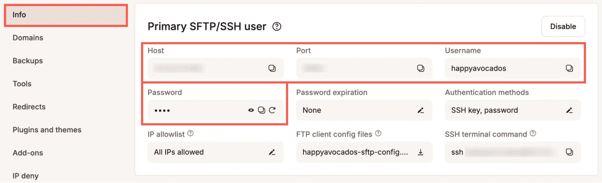 The SSH/SFTP panel within MyKinsta.