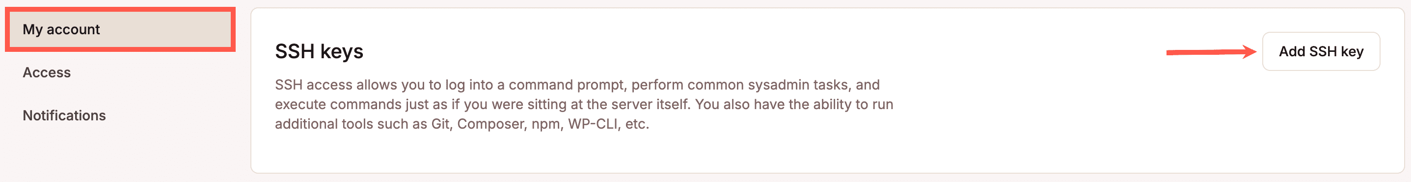 Adicionar chave SSH no MyKinsta.