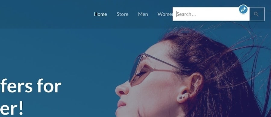 WordPress - barre de recherche ajoutée avec les réglages du thème