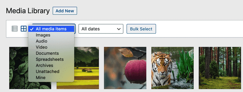 Filtrare i file della Libreria Media di WordPress