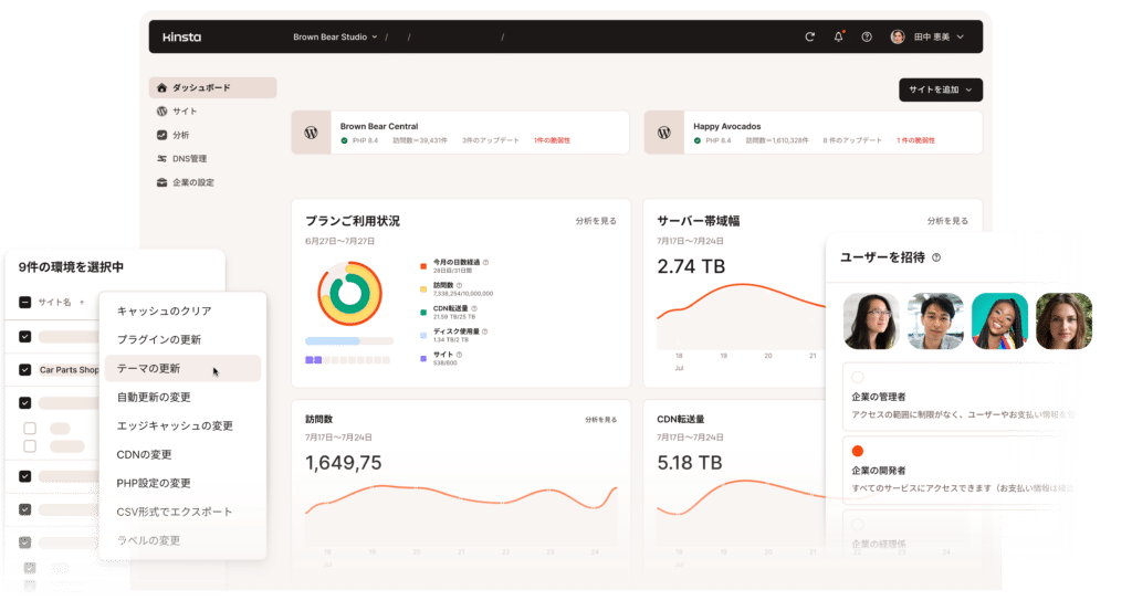 MyKinstaのグラフィック