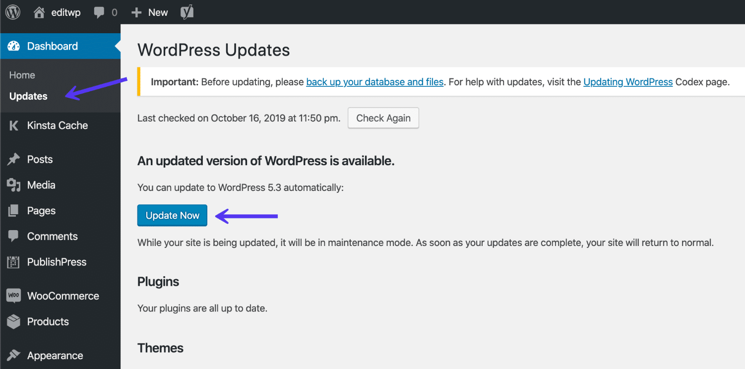 Update voor WordPress 5.2 in dashboard