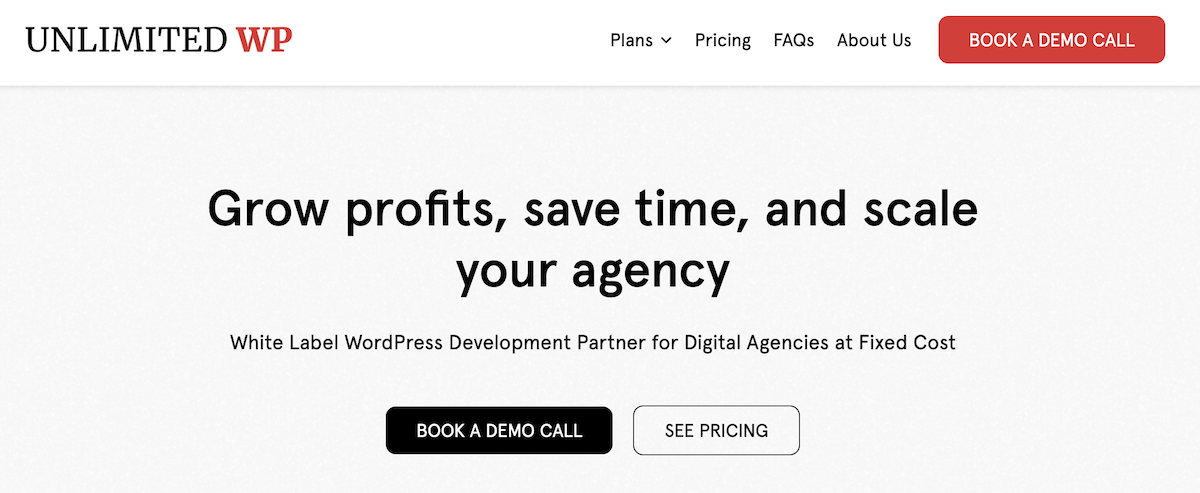 Unlimited WP website