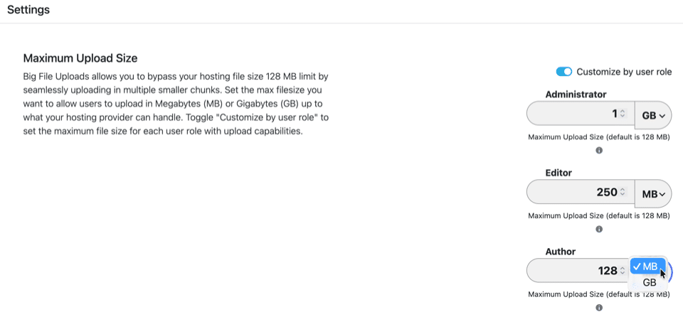 Big File Uploadsプラグインの設定画面