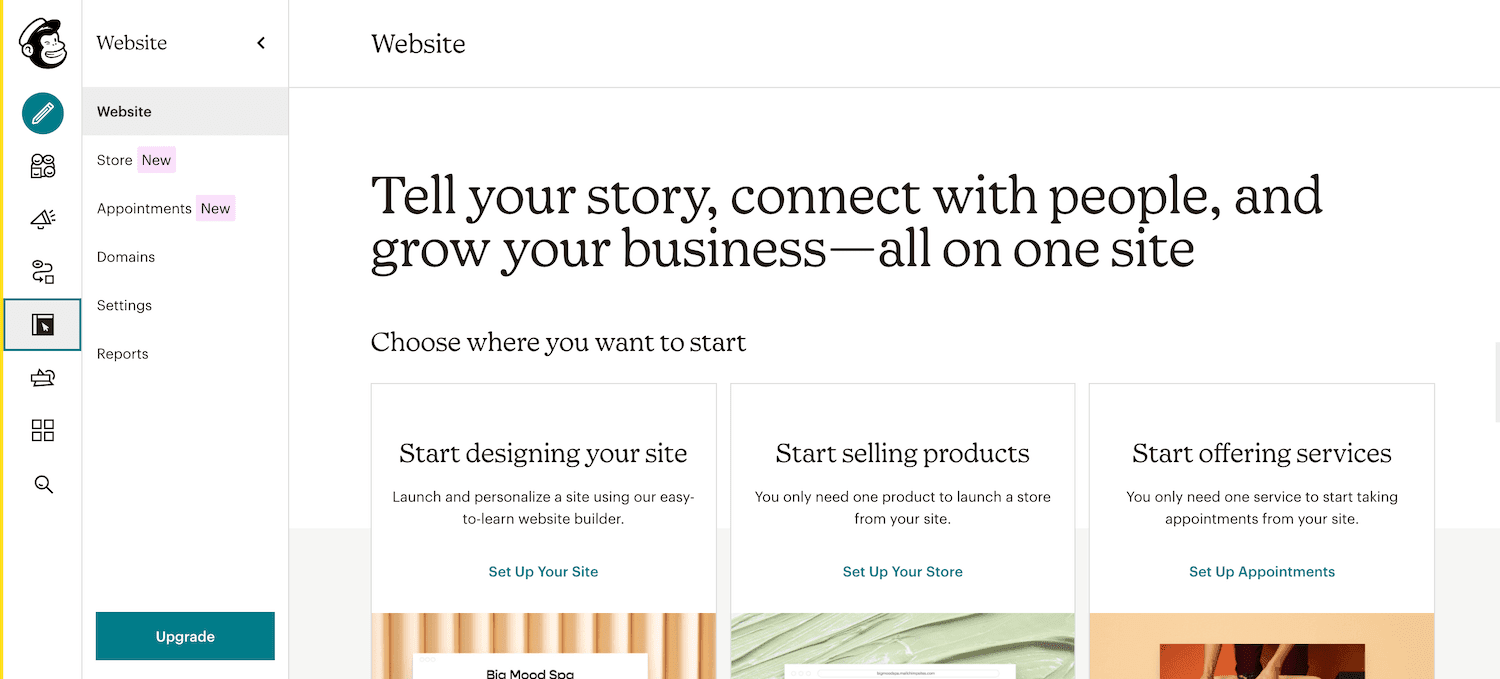 Select the Web button in your Mailchimp account