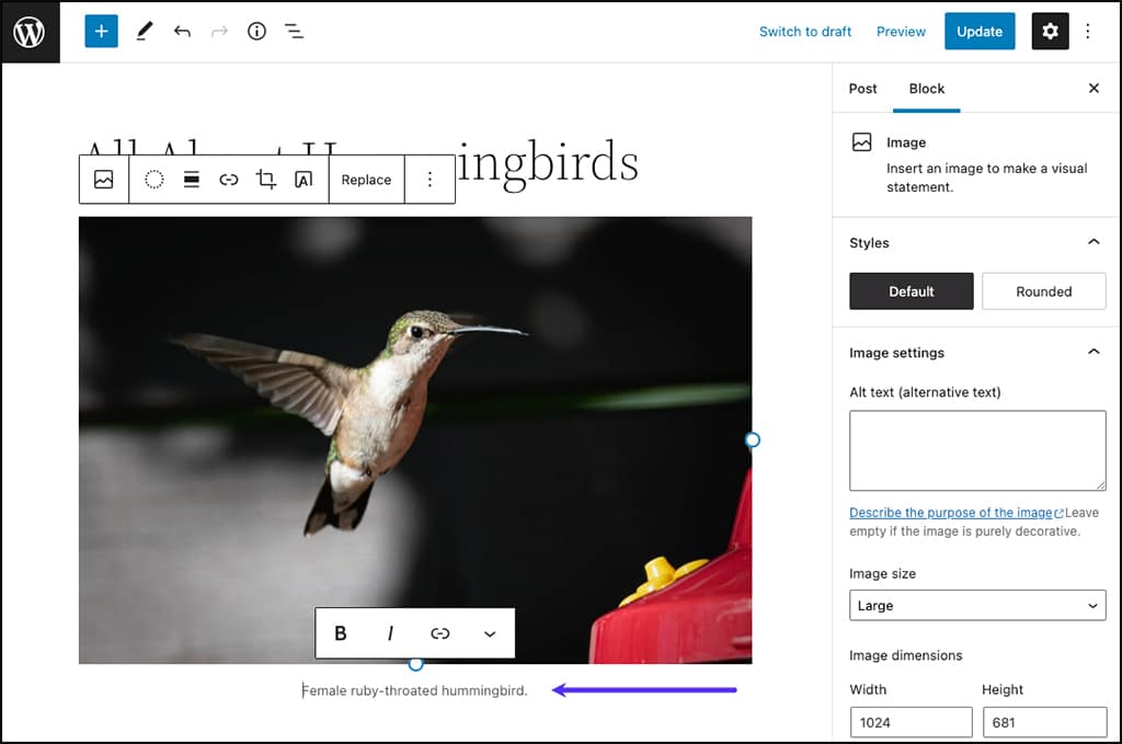 Screenshot: An image caption displayed in the WordPress block editor.