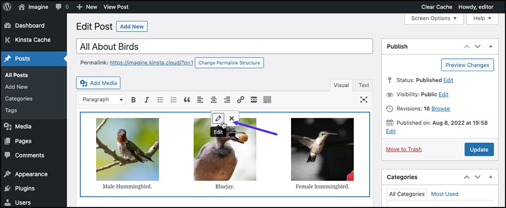 Screenshot: Using the Edit Gallery toolbar to modify image captions.