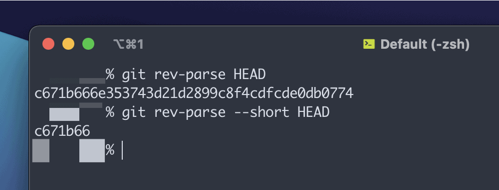 A partial Terminal window in macOS showing a user running the 