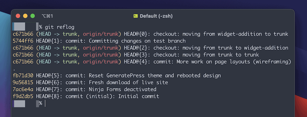 A partial Terminal window in macOS showing the user running a 