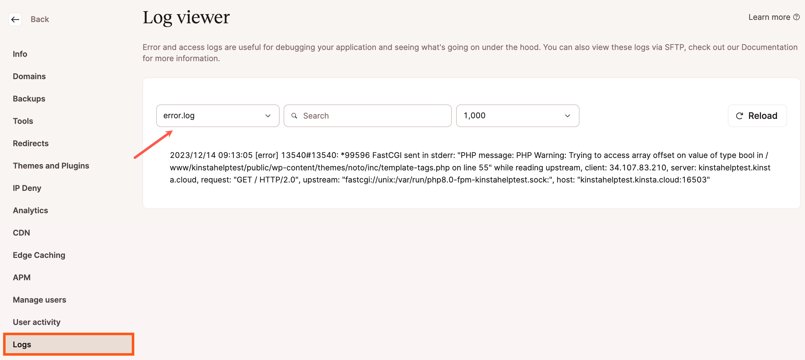 Screenshot van de MyKinsta Log viewer.