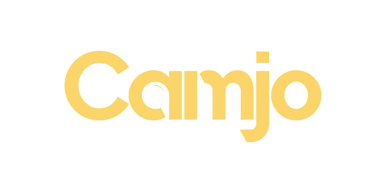 Kinsta Agency Partner: Camjo