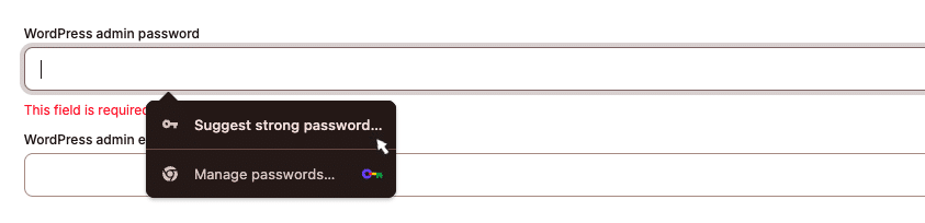 Google Passwort-Manager