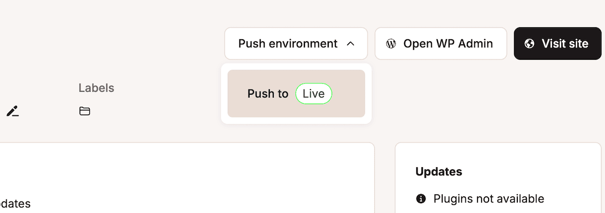 Interface do MyKinsta mostrando botões para Enviar ambiente (Push environment), Abrir WP Admin (Open WP Admin) e Visitar site (Visit site). Abaixo, há uma seção bege com o texto Enviar para a produção (Push to Live) e um botão verde em formato de pílula com o rótulo Produção (Live). A interface também exibe uma seção para Atualizações.