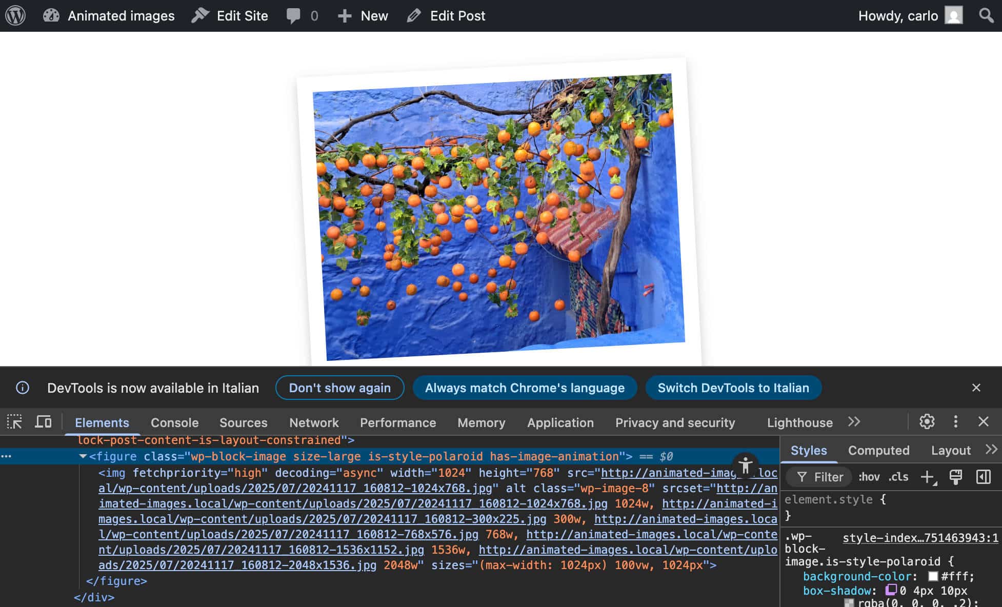 is_style_polaroid und has_image_animation CSS-Klassen zum Image-Block hinzugefügt