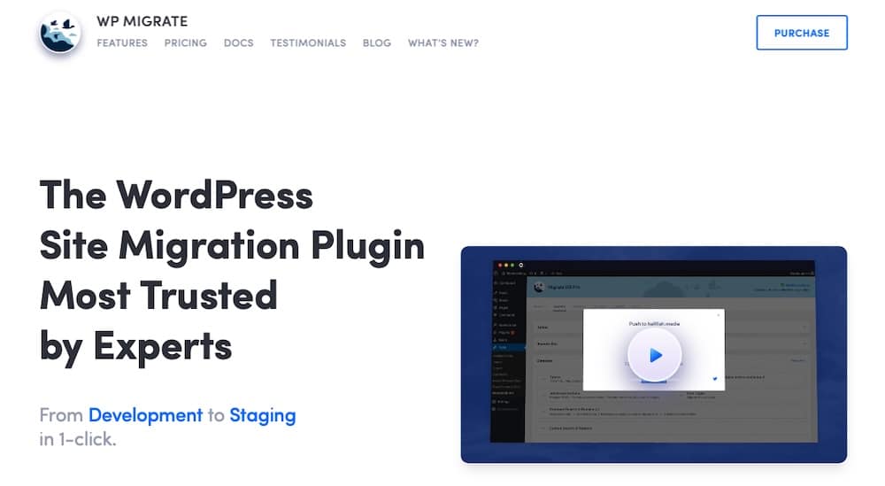 WP Migrate 