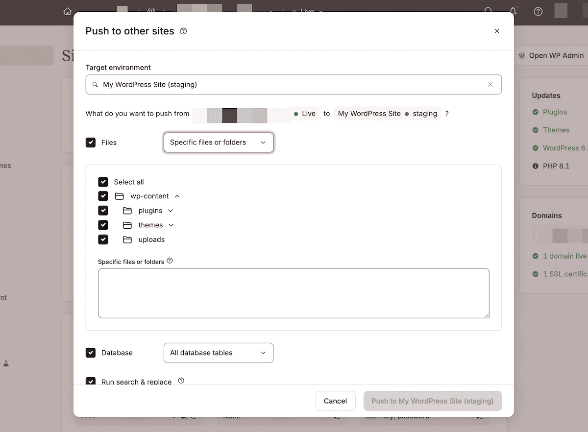 Das selektive Push-Interface in MyKinsta, das die Bereitstellungsoptionen anzeigt