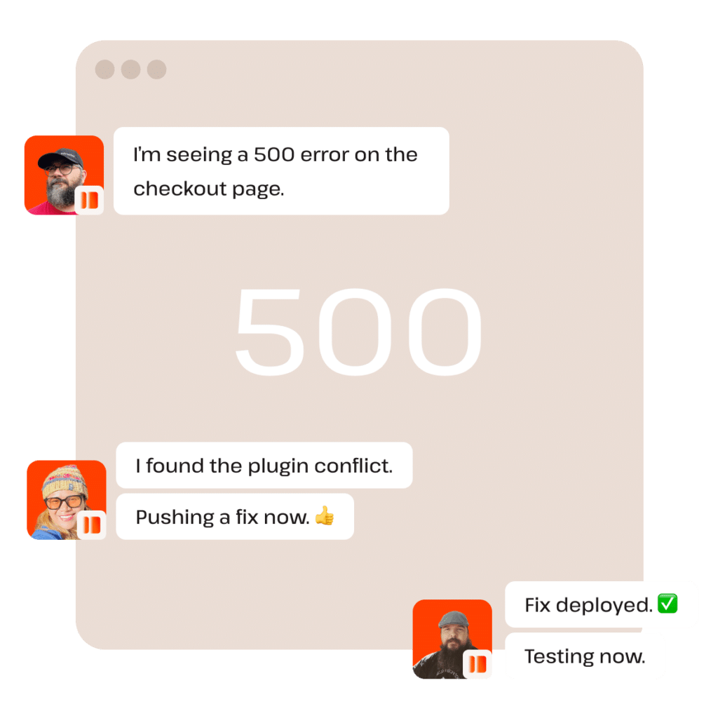 Get collaborative problem solving from Kinsta support