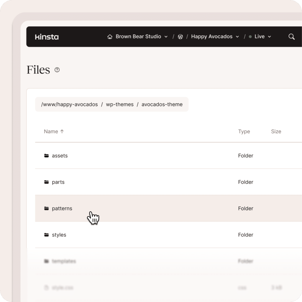 Access and manage site files directly from the MyKinsta dashboard.