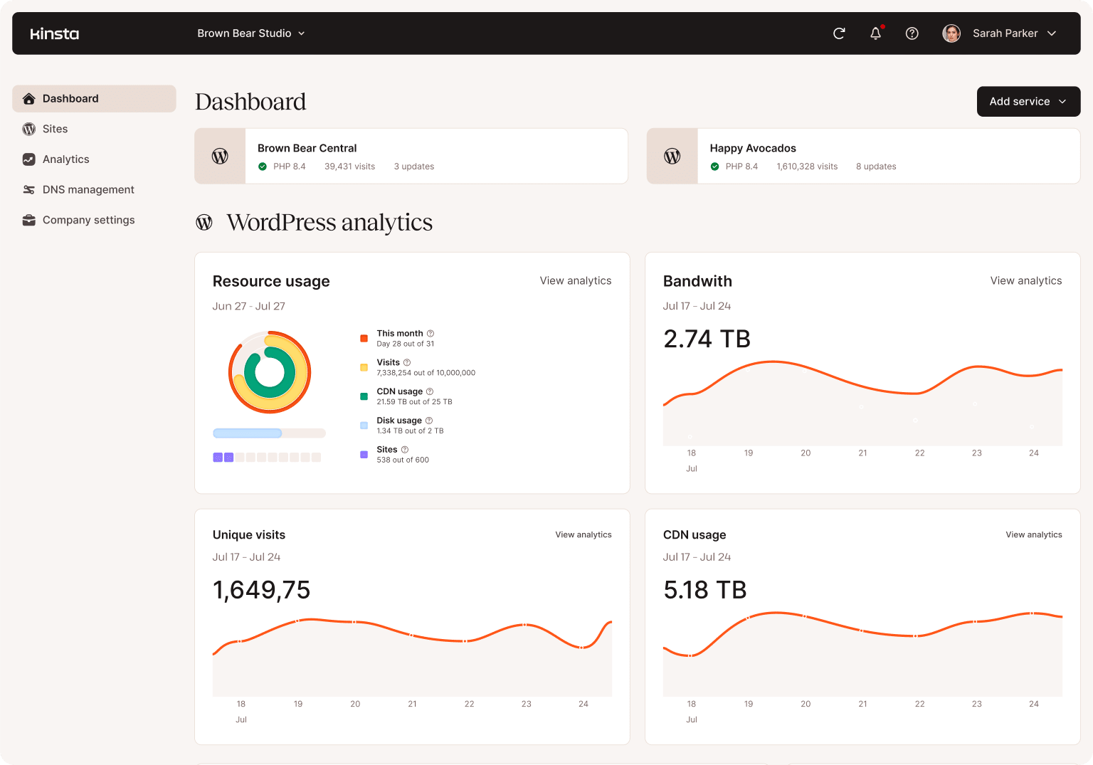 MyKinsta hosting dashboard
