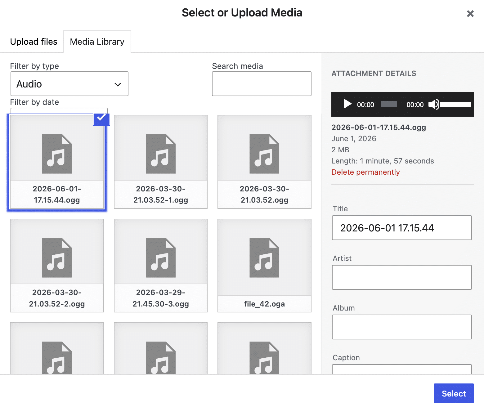 Die WordPress-Medienbibliothek