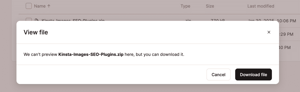 Een downloadprompt voor een binair ZIP-bestand in de MyKinsta bestandsbeheer.
